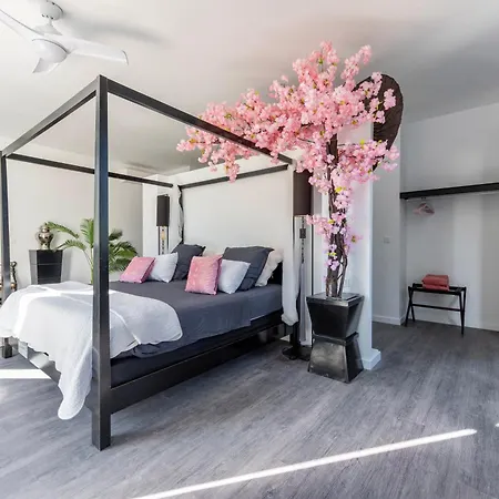 Bed & Breakfast Carbo D'hotes Mourillon, 4 Belles Chambres, Piscine